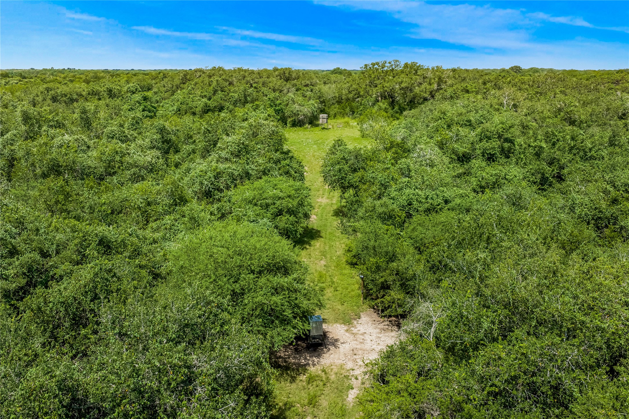 0 McGuill Road Goliad, TX 77963 - Photo 13 of 21 Gallery Image 13