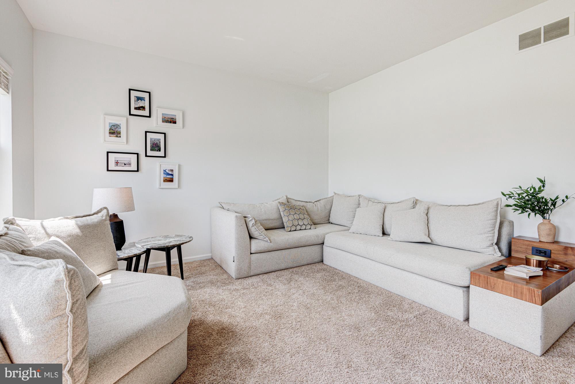 11 Basalt Street Townsend, DE 19734 - Photo 14 of 65 a living room with furniture and a potted plant