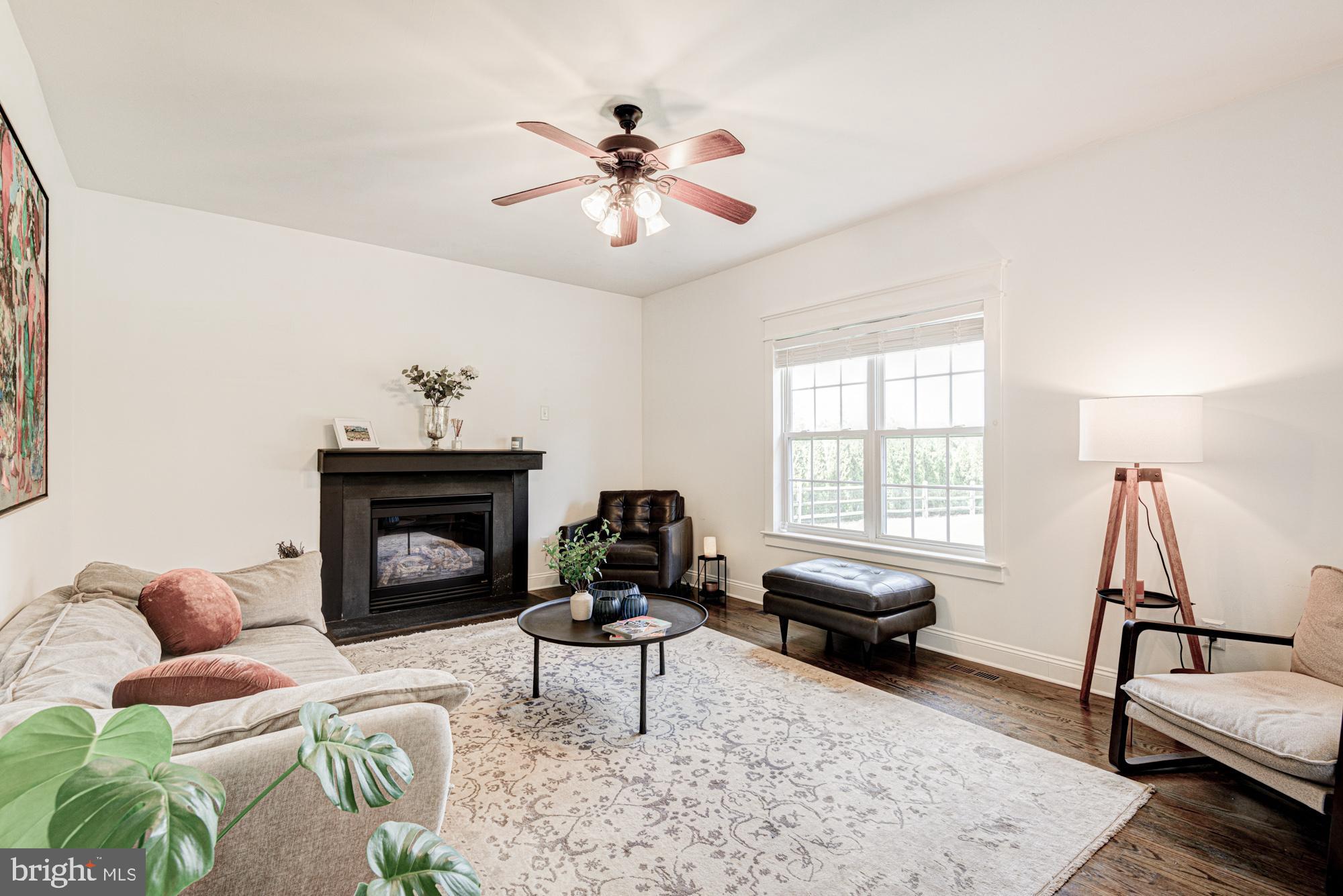 11 Basalt Street Townsend, DE 19734 - Photo 28 of 65 a living room with furniture and a fireplace