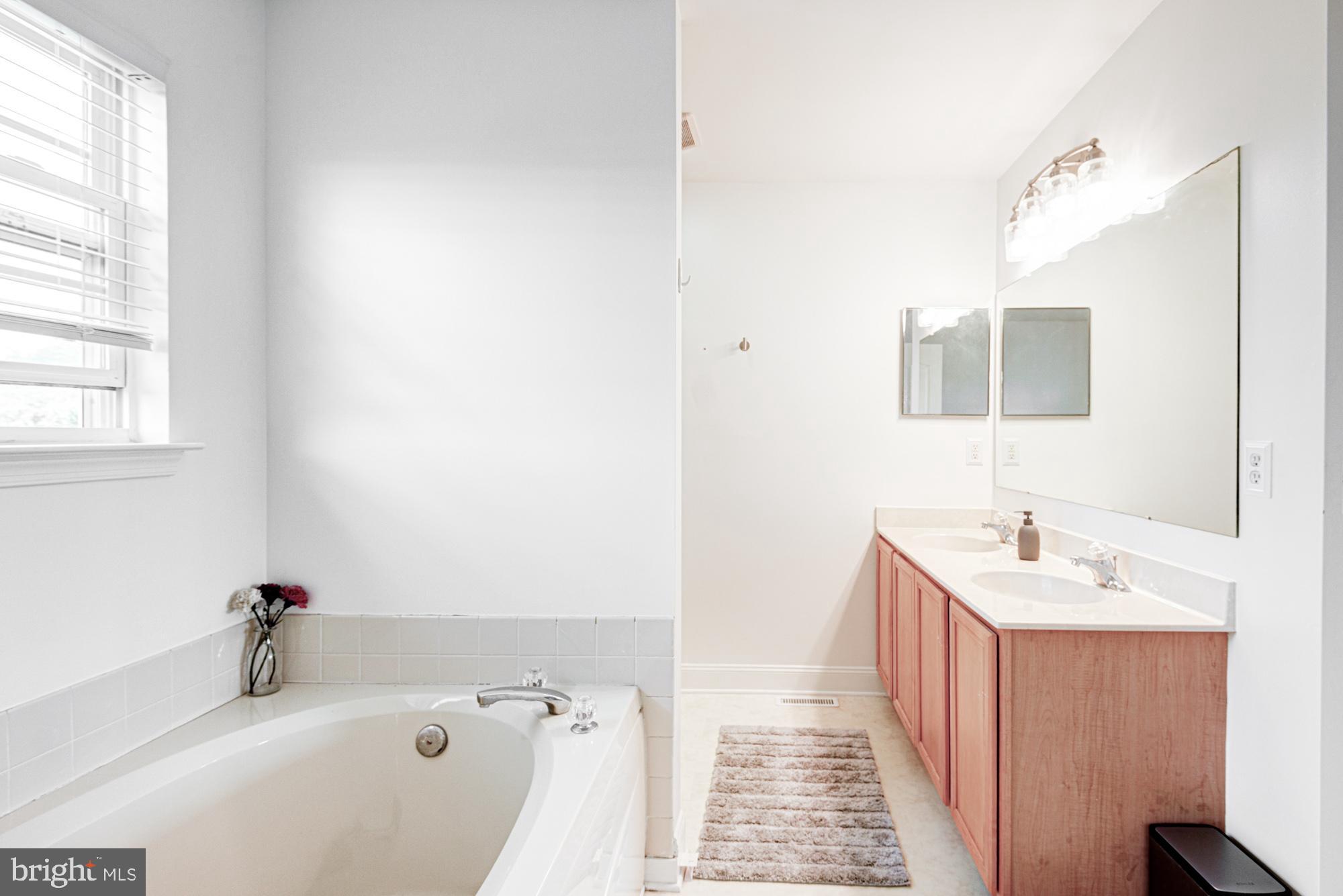 11 Basalt Street Townsend, DE 19734 - Photo 38 of 65 a bathroom with a sink and a bathtub