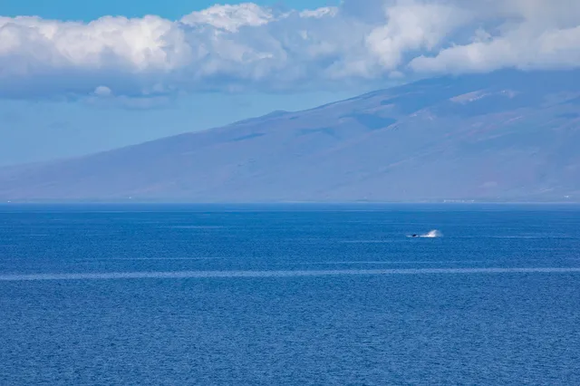 $650,000 | 106 Kaanapali Shores Place, Unit 1002, Lahaina, HI 96761