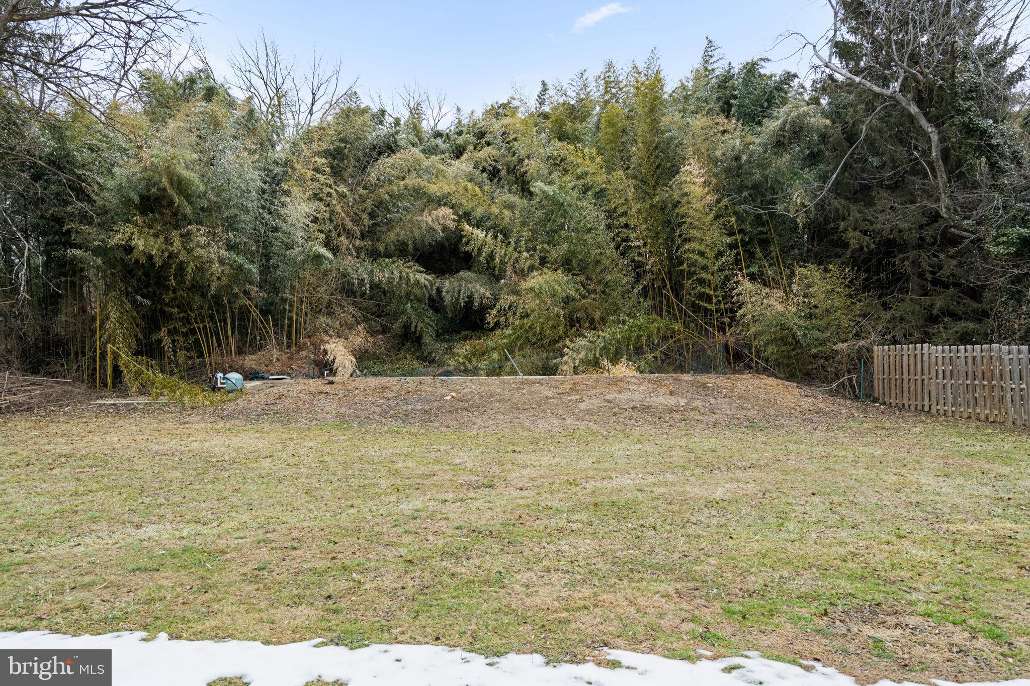 383 Upper Gulph Road Wayne, PA 19087 - Photo 42 of 42 a view of a backyard