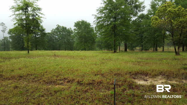 0 Roberts Road Chunchula, AL 36521 - Photo 4 of 7
