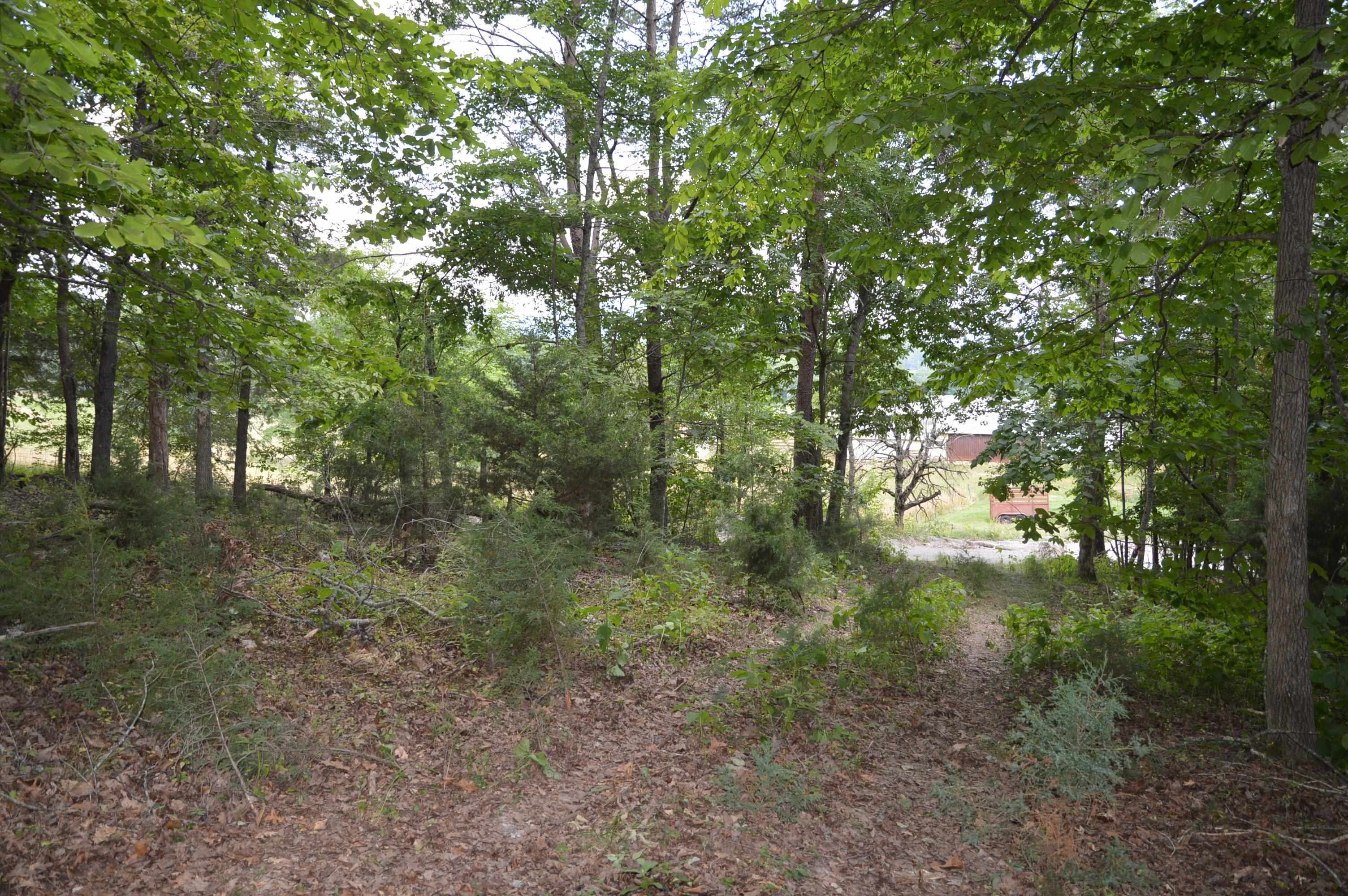 Tbd Paris Mountain Road Elliston, VA 24087 - Photo 9 of 11 Gallery Image 9