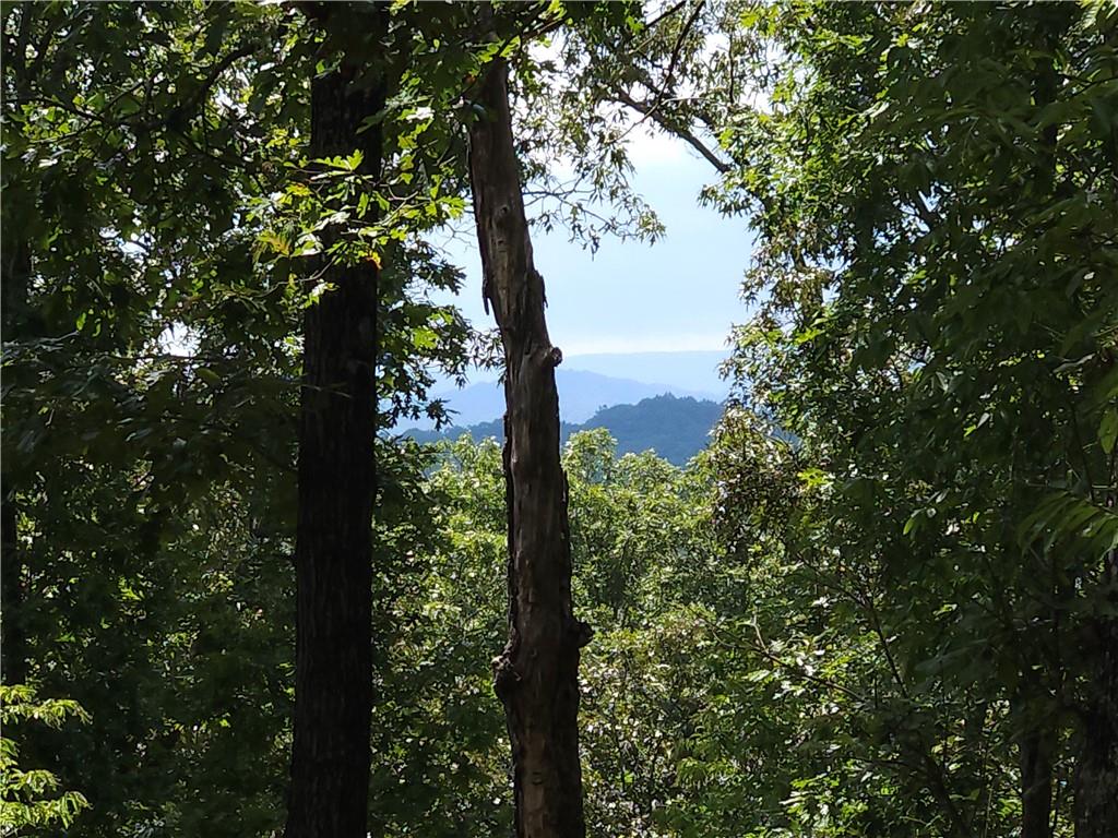 101 Hothouse Drive Mineral Bluff, GA 30559 - Photo 3 of 63