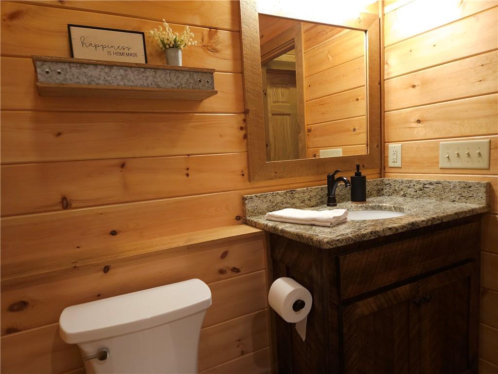 101 Hothouse Drive Mineral Bluff, GA 30559 - Photo 47 of 63 a bathroom with a sink a toilet and mirror