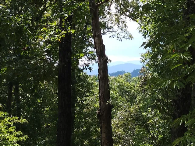 $3,900 | 101 Hothouse Drive, Mineral Bluff, GA 30559