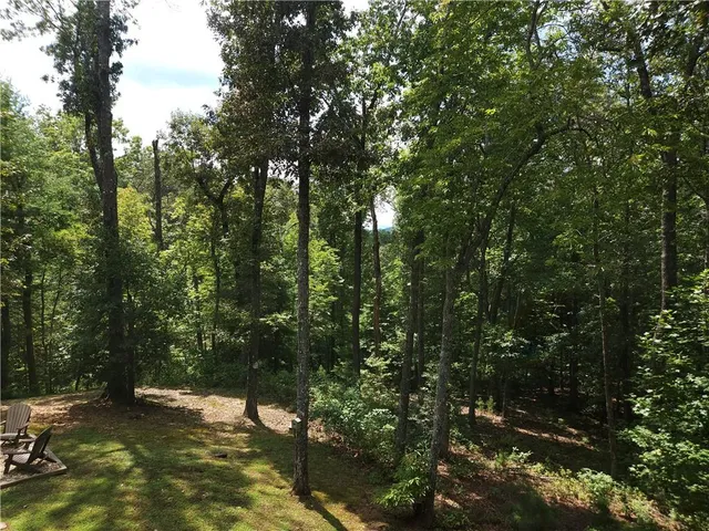 $3,900 | 101 Hothouse Drive, Mineral Bluff, GA 30559