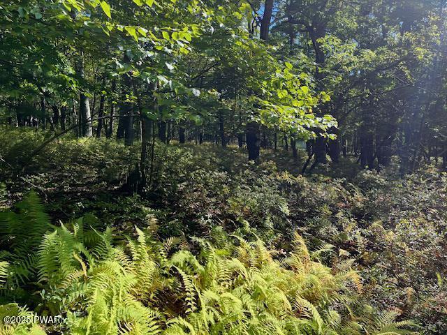 Lot 426 Squirrel Road Dingmans Ferry, PA 18328 - Photo 2 of 6