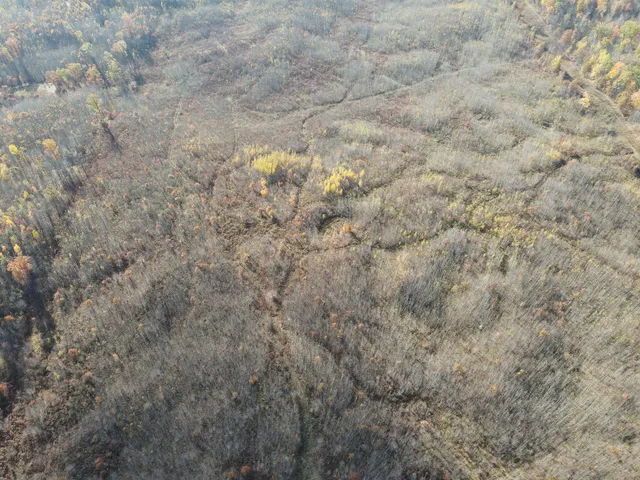 $650,000 | 401 South Bass Lake Avenue, Harrison, MI 48625