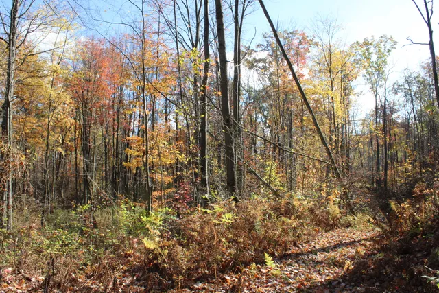 $650,000 | 401 South Bass Lake Avenue, Harrison, MI 48625