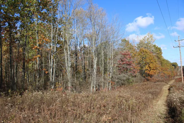 $650,000 | 401 South Bass Lake Avenue, Harrison, MI 48625