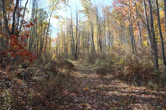 $650,000 | 401 South Bass Lake Avenue, Harrison, MI 48625