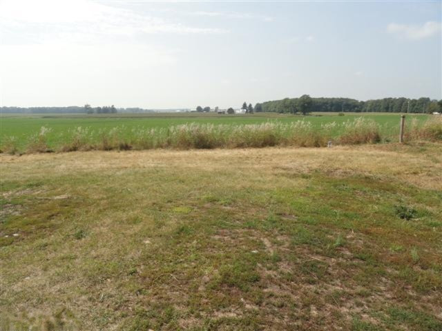 17901 West Mcbride Road Pierson, MI 49339 - Photo 16 of 18 Additional Photo