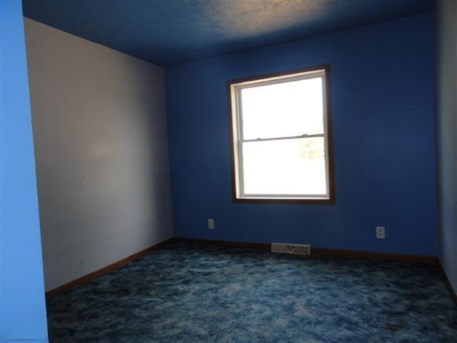 17901 West Mcbride Road Pierson, MI 49339 - Photo 10 of 18 Additional Photo
