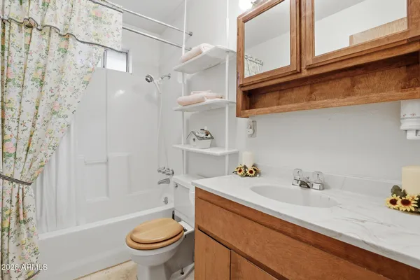 a bathroom with a sink a toilet and shower curtain