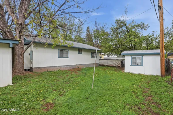 a backyard of a house with plants and large tree