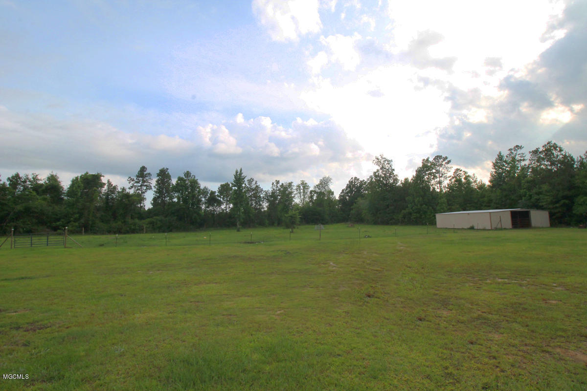 275 Central Firetower Road Lucedale, MS 39452 - Photo 51 of 70 6 (5)
