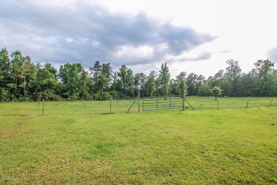 275 Central Firetower Road Lucedale, MS 39452 - Photo 60 of 70 7 (6)