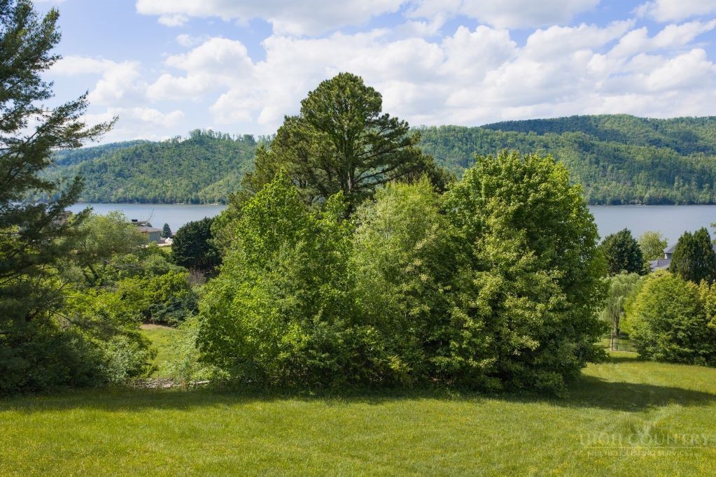 Lot 84 Harbor View Butler, TN 37640 - Photo 13 of 32 a view of a yard