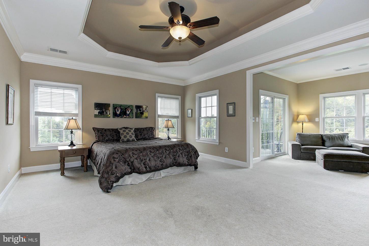 12131 Fulton Ridge Drive Fulton, MD 20759 - Photo 16 of 30 Master Retreat w/Tray Ceiling