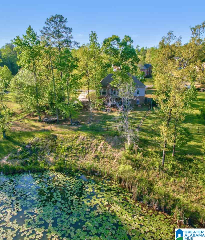 405 Sunset Lake Circle Chelsea, AL 35043 - Photo 39 of 40