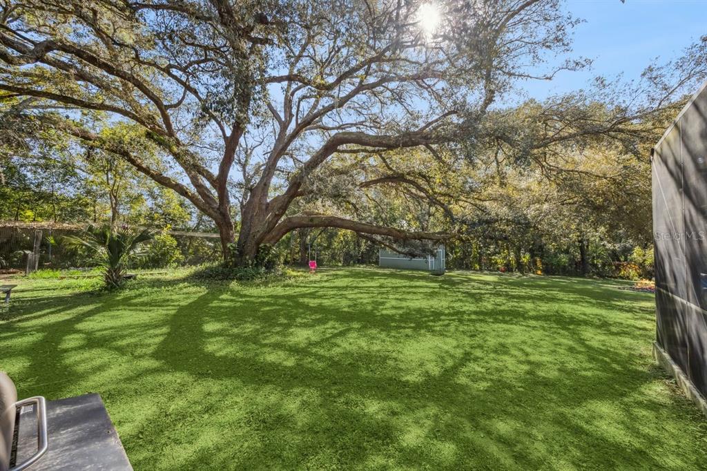 23934 Wolf Branch Road Sorrento, FL 32776 - Photo 36 of 47 Gallery Image 36