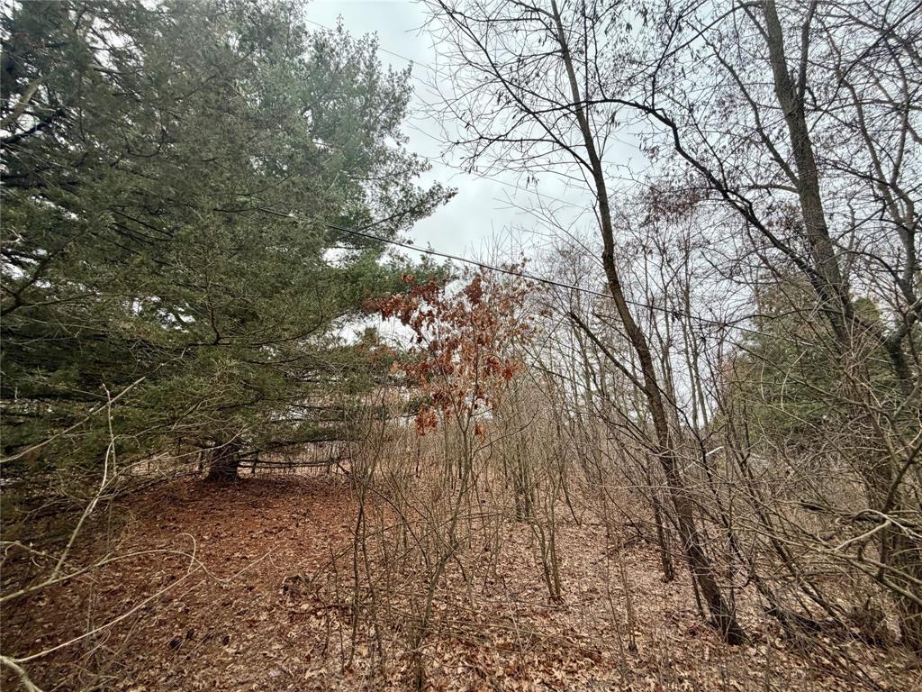 7646 196th Street Chippewa Falls, WI 54729 - Photo 5 of 18