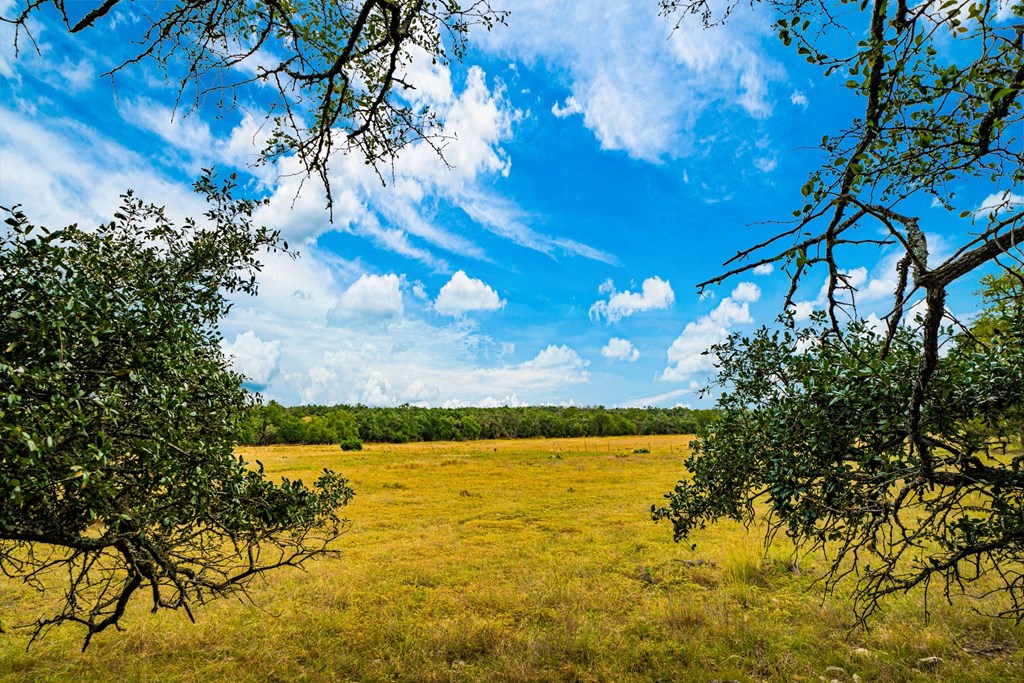 Lot 26 Reservation Road, Unit 26 Harper, TX 78631 - Photo 5 of 5 Gallery Image 5
