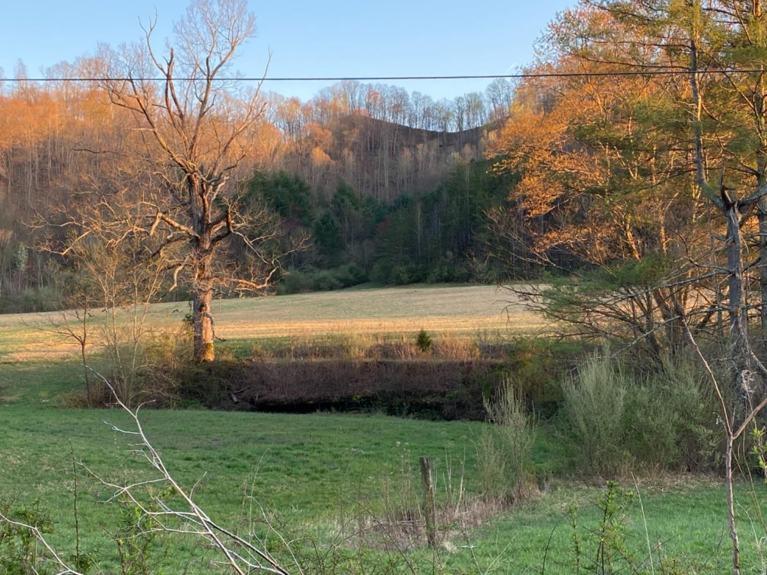 1111 Powell Branch Road Bimble, KY 40915 - Photo 18 of 19 Photo 18