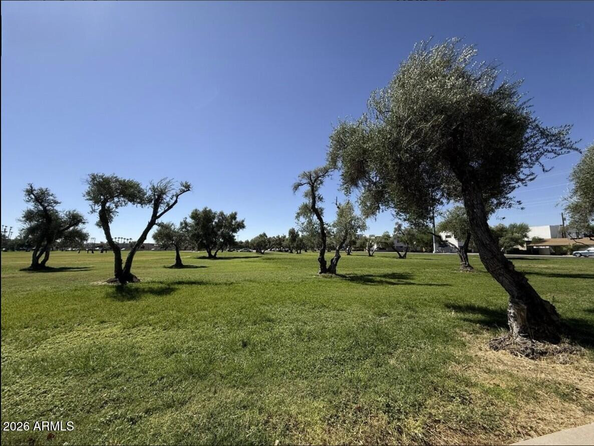4139 North 27th Street, Unit 3 Phoenix, AZ 85016 - Photo 27 of 30 a view of a park