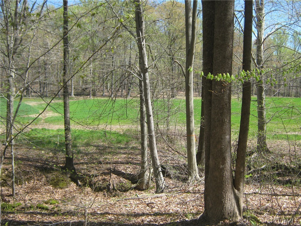 0 Shepherd Spring Road Gum Spring, VA 23065 - Photo 2 of 3 a view of a backyard