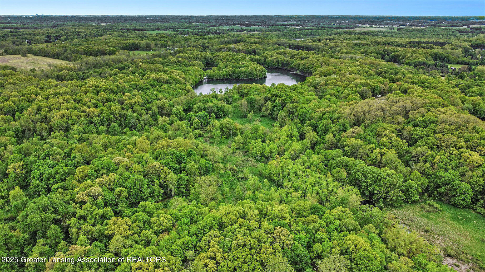 5025 South St Clair Road St. Johns, MI 48879 - Photo 10 of 25 dji_0201_961