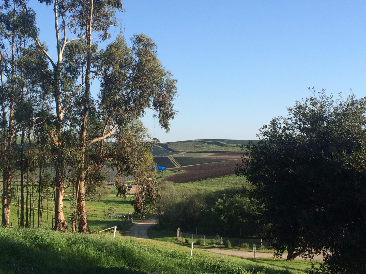 684 Harrison Road Salinas, CA 93907 - Photo 3 of 11 a backyard of a house with a garden and plants