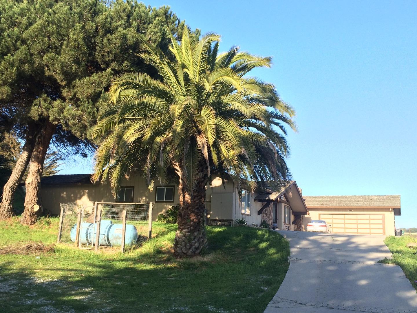 684 Harrison Road Salinas, CA 93907 - Photo 5 of 11 a view of a yard with plants and large trees