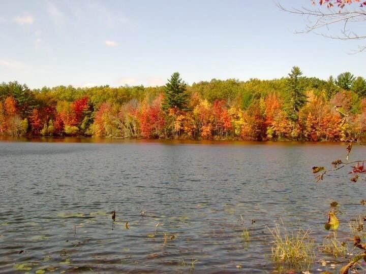 136 Old Mill Road Sanford, ME 04073 - Photo 27 of 29 You can walk to Fisherman's Pond (...