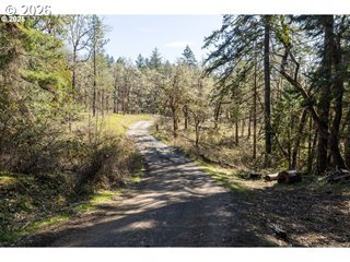620 Cleveland Loop Road Roseburg, OR 97471 - Photo 4 of 7