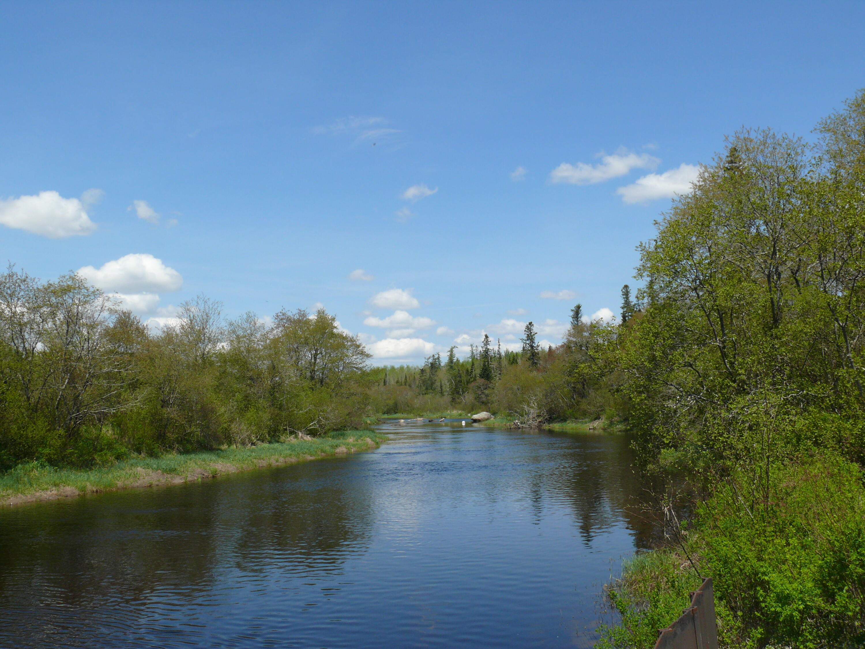 25 Epping Road Columbia Falls, ME 04623 - Photo 1 of 39 PLEASANT RIVER