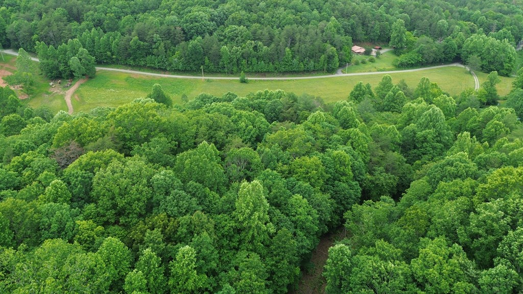 115 Calvender Road Turtletown, TN 37391 - Photo 18 of 23 a view of a field with a tree in the background