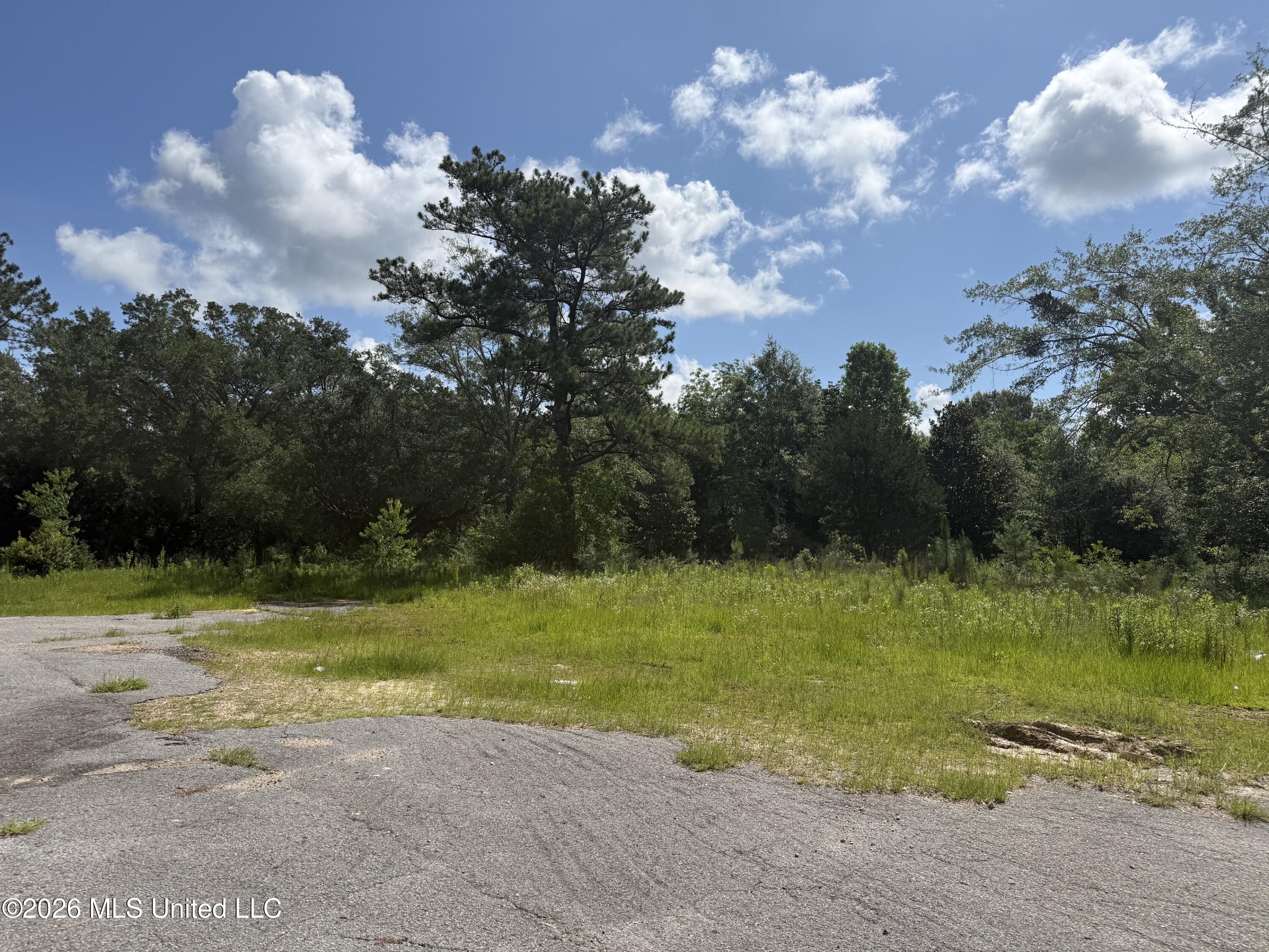 22280 Success Road Saucier, MS 39574 - Photo 3 of 4 lot3