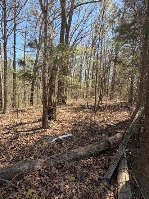 4485 Poplar Springs Road Gainesville, GA 30507 - Photo 7 of 17 a view of snow on a yard