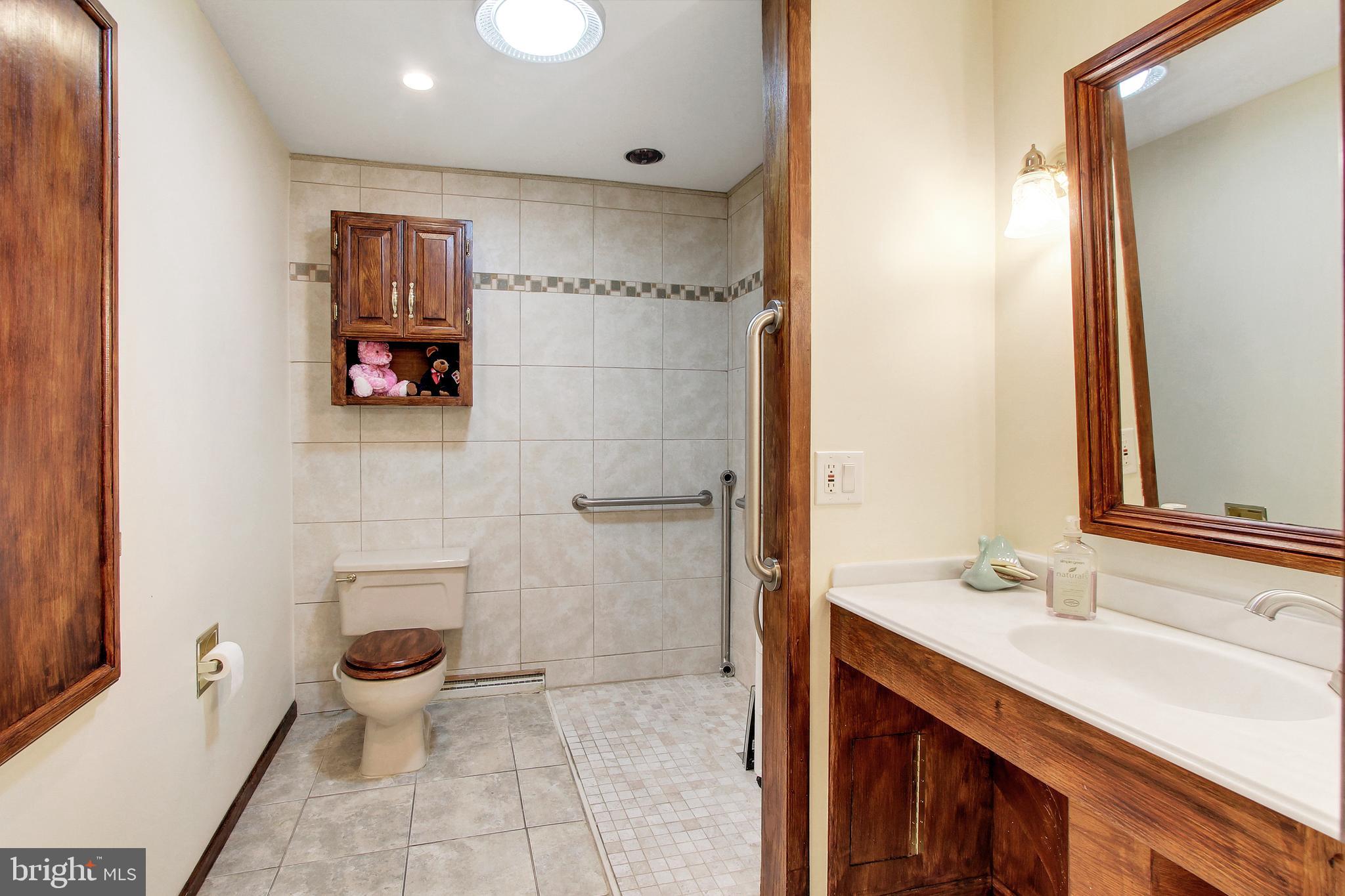 305 Mail Rte Road Sinking Spring, PA 19608 - Photo 13 of 32 First Floor Bathroom