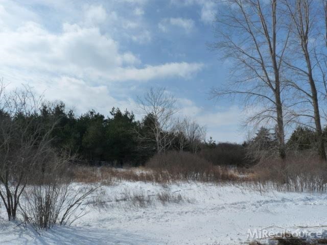 0 West Wellman Line Road Peck, MI 48466 - Photo 3 of 4