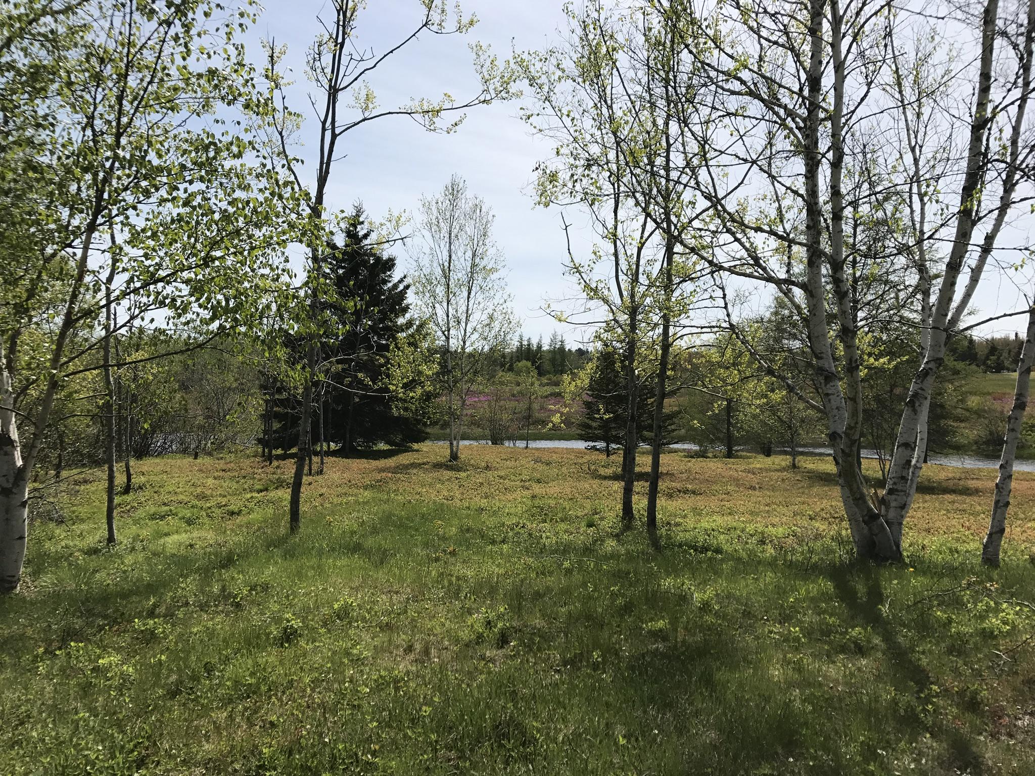 1001 Basin Road Addison, ME 04606 - Photo 11 of 16 image00023
