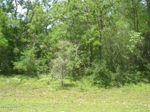 0 Lakepoint Road Alford, FL 32420 - Photo 6 of 6 Gallery Image 6