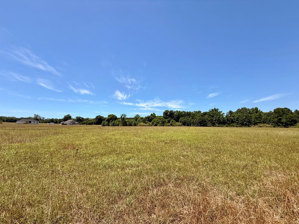 841 McCallister Road Dothan, AL 36301 - Photo 10 of 39