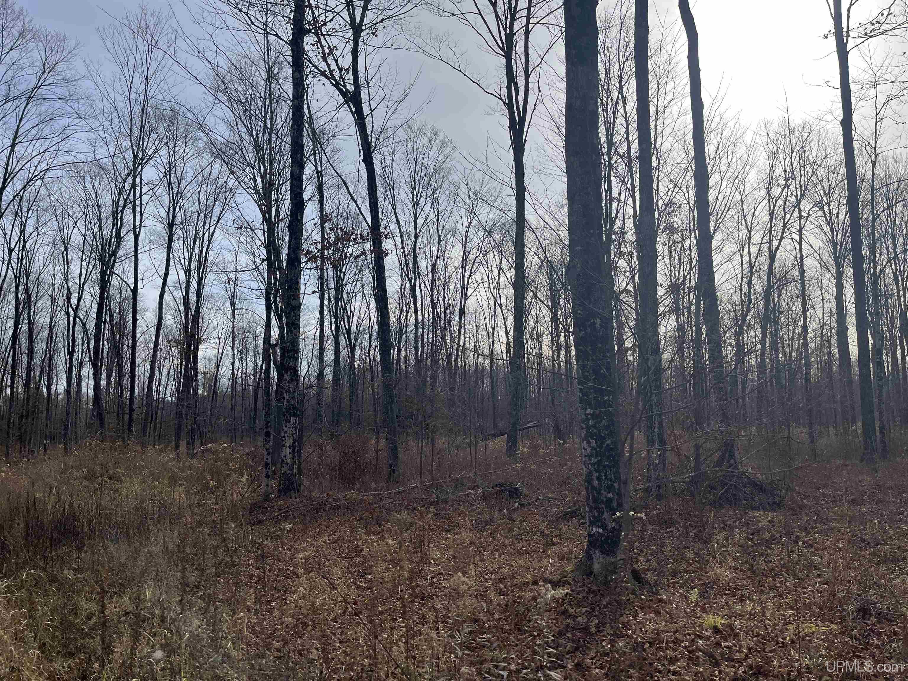 120-acres Off County Sk Road Cornell, MI 49818 - Photo 33 of 40
