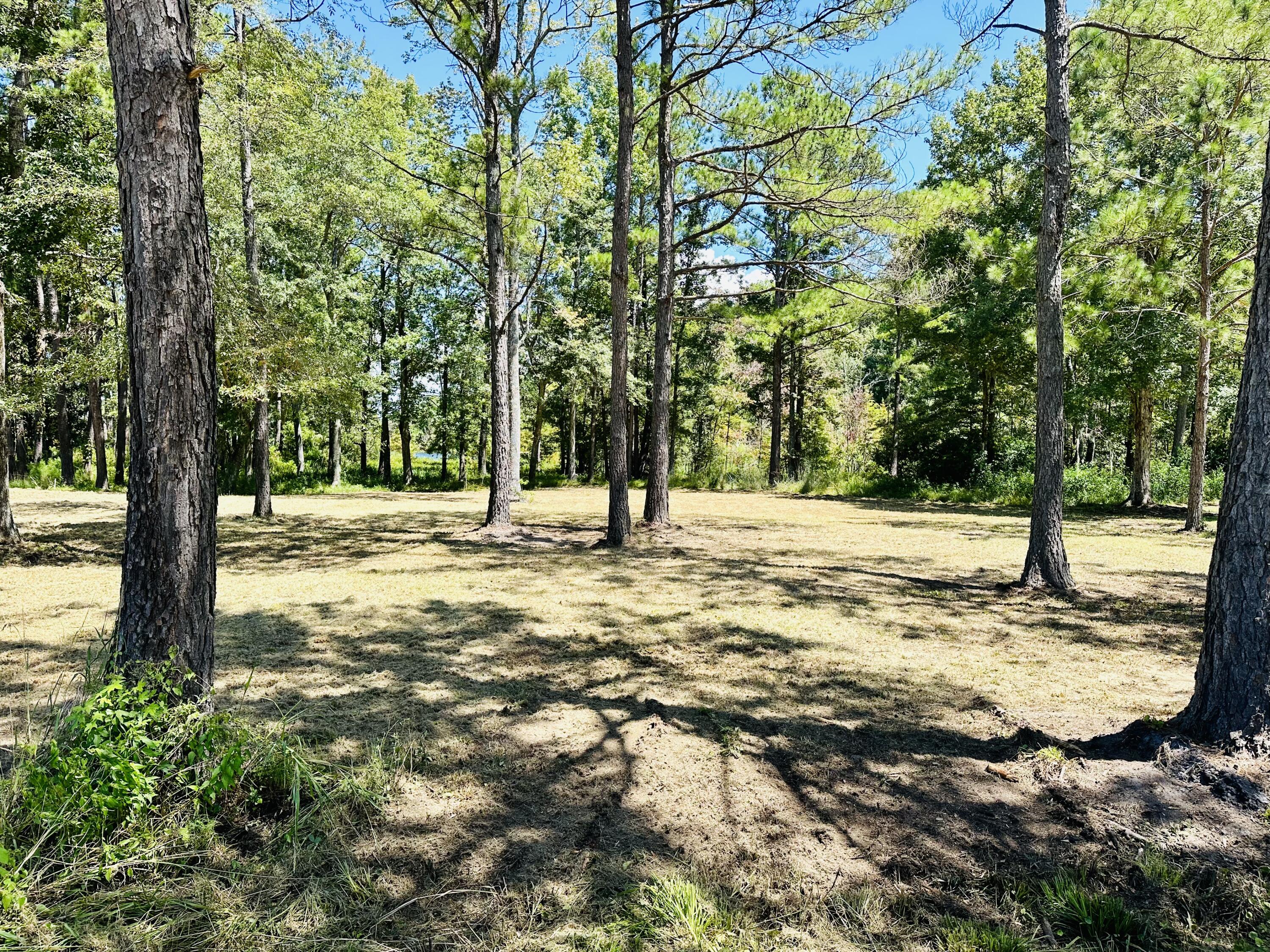 1426 Pinopolis Road Moncks Corner, SC 29461 - Photo 3 of 9 B5295001-063F-4C21-97E0-06FE9CD00EEE