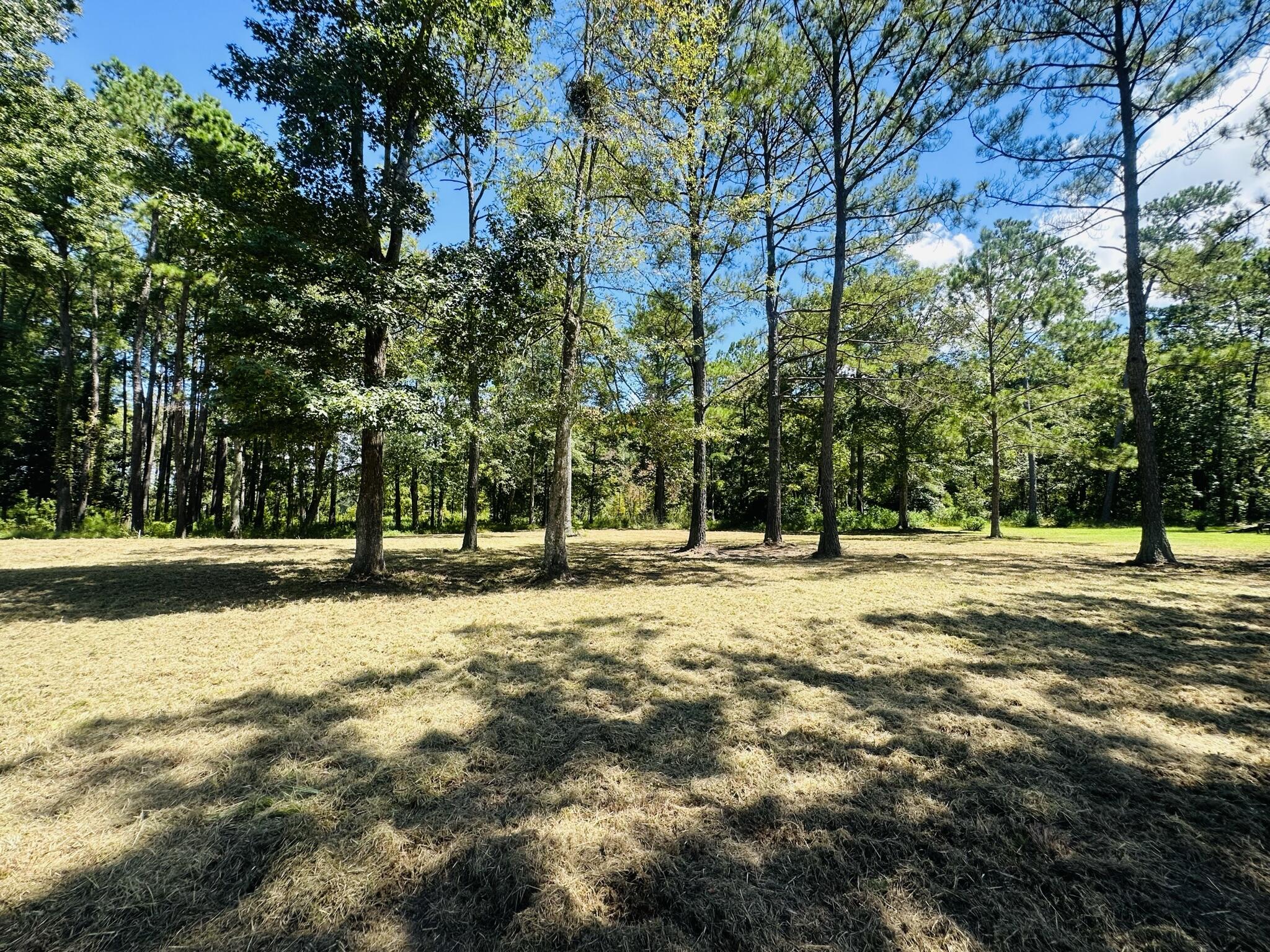1426 Pinopolis Road Moncks Corner, SC 29461 - Photo 5 of 9 45F50721-71BF-4B9B-B75E-D52EB9DBB550