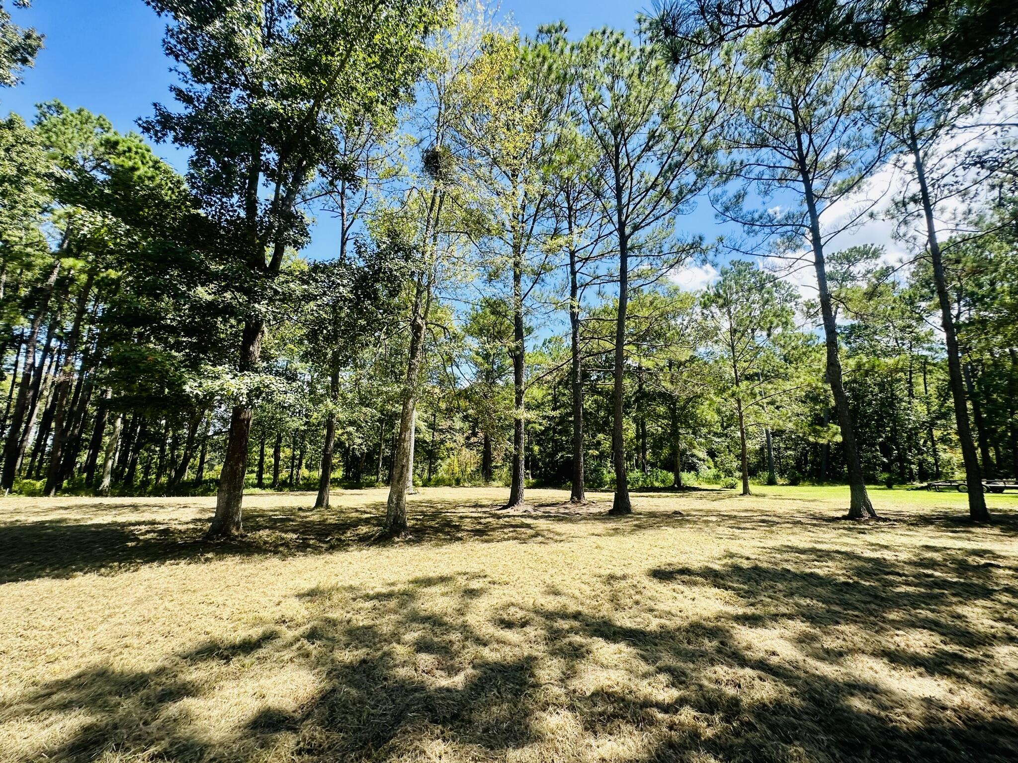 1426 Pinopolis Road Moncks Corner, SC 29461 - Photo 6 of 9 91FC3A6B-5023-49E0-AB74-C62858166471